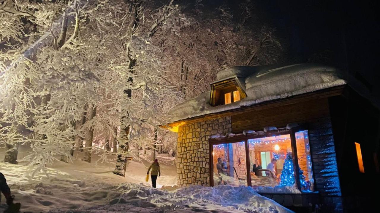 Green Forest Žabljak Екстериор снимка
