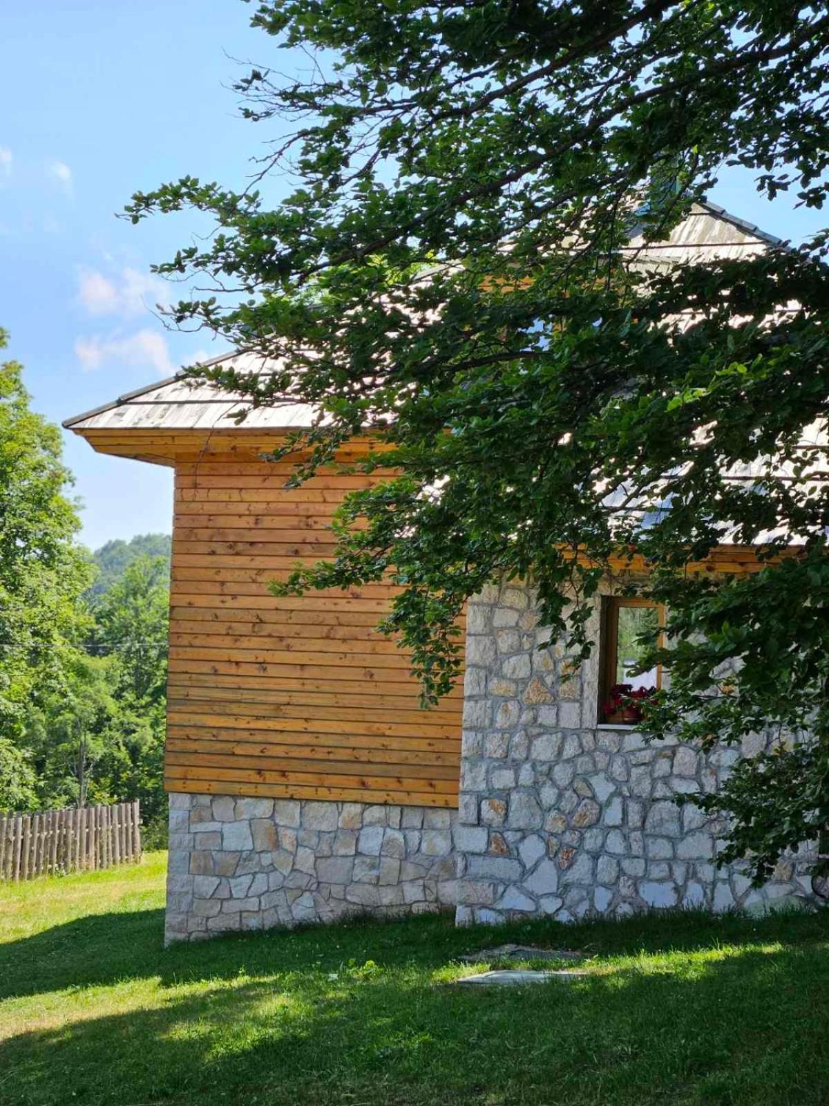 Green Forest Žabljak Екстериор снимка