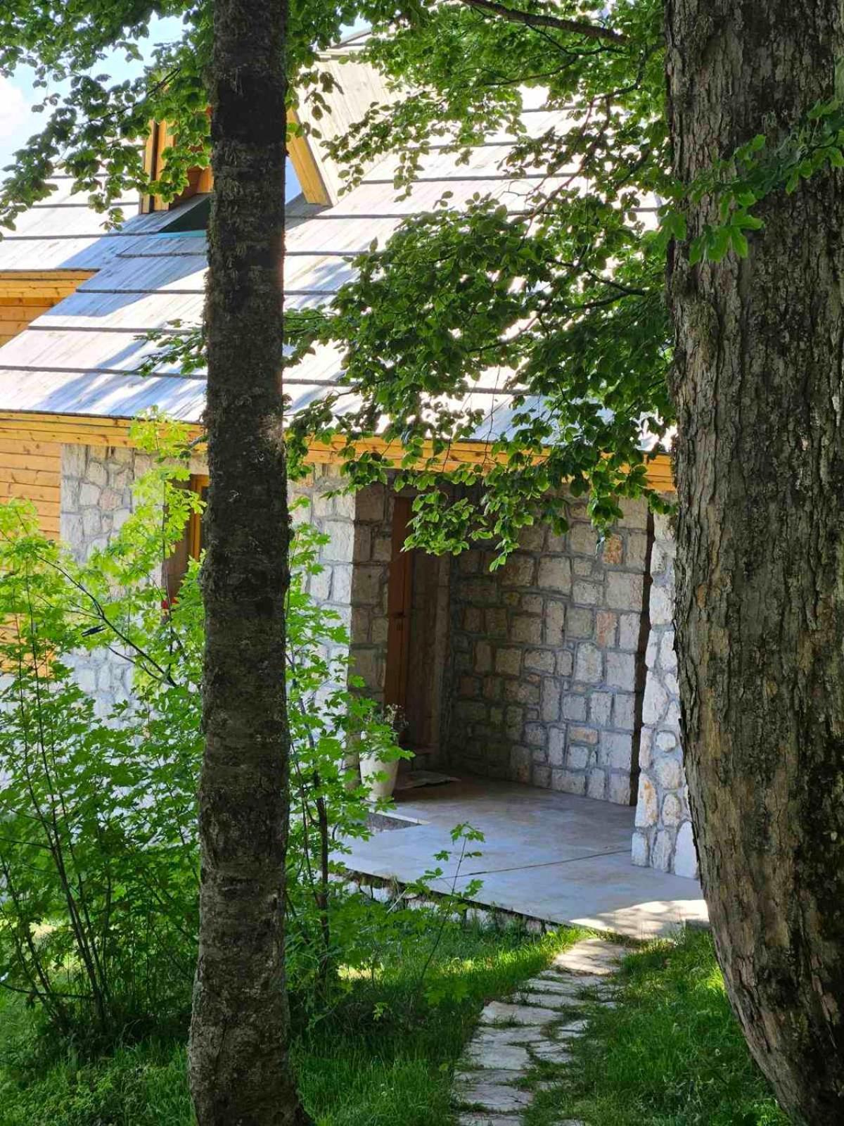 Green Forest Žabljak Екстериор снимка