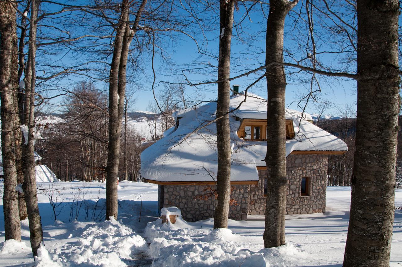 Green Forest Žabljak Екстериор снимка