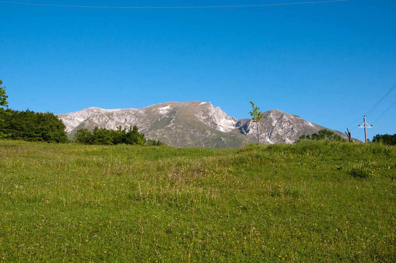 Green Forest Žabljak Екстериор снимка