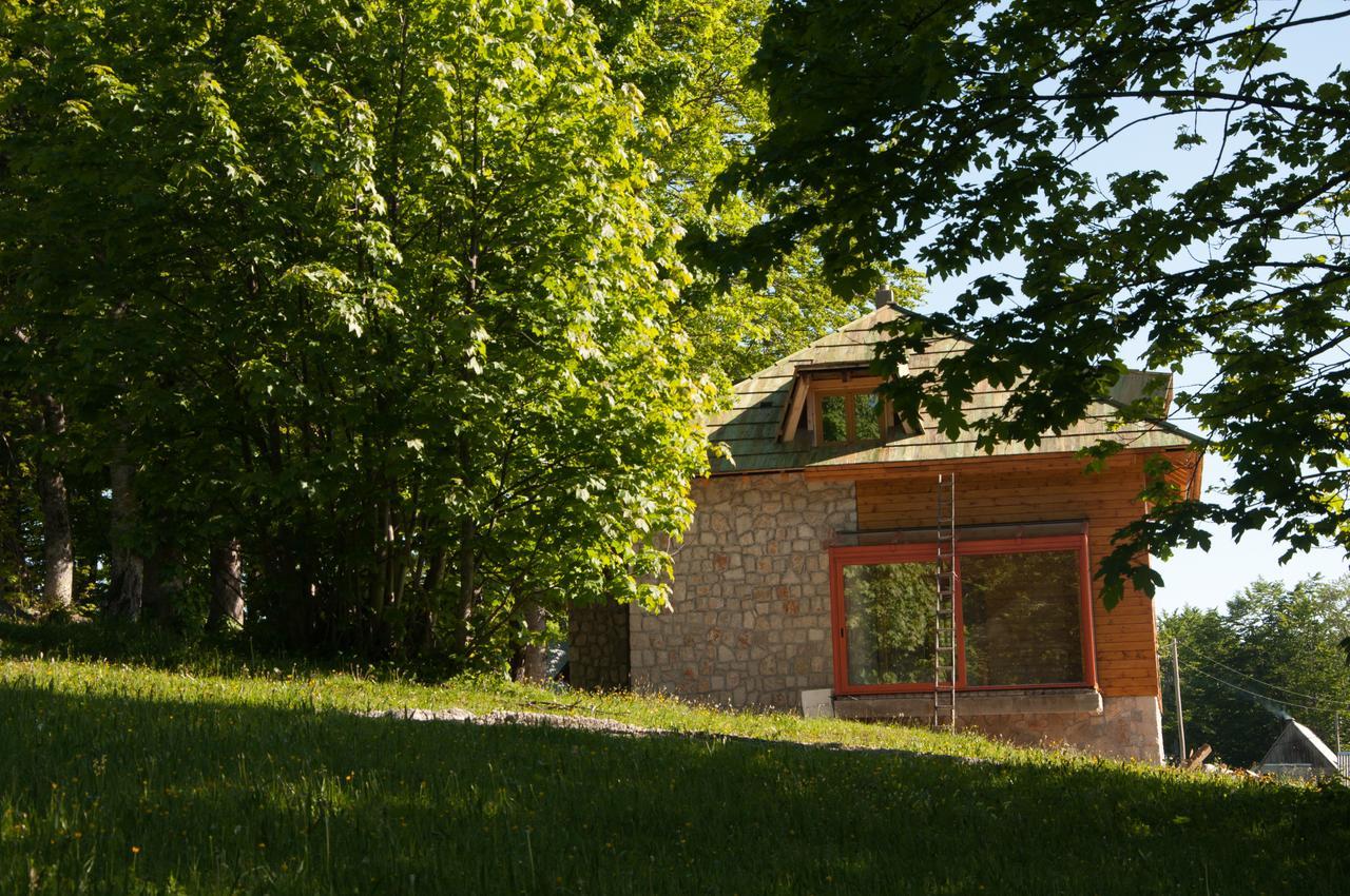 Green Forest Žabljak Екстериор снимка