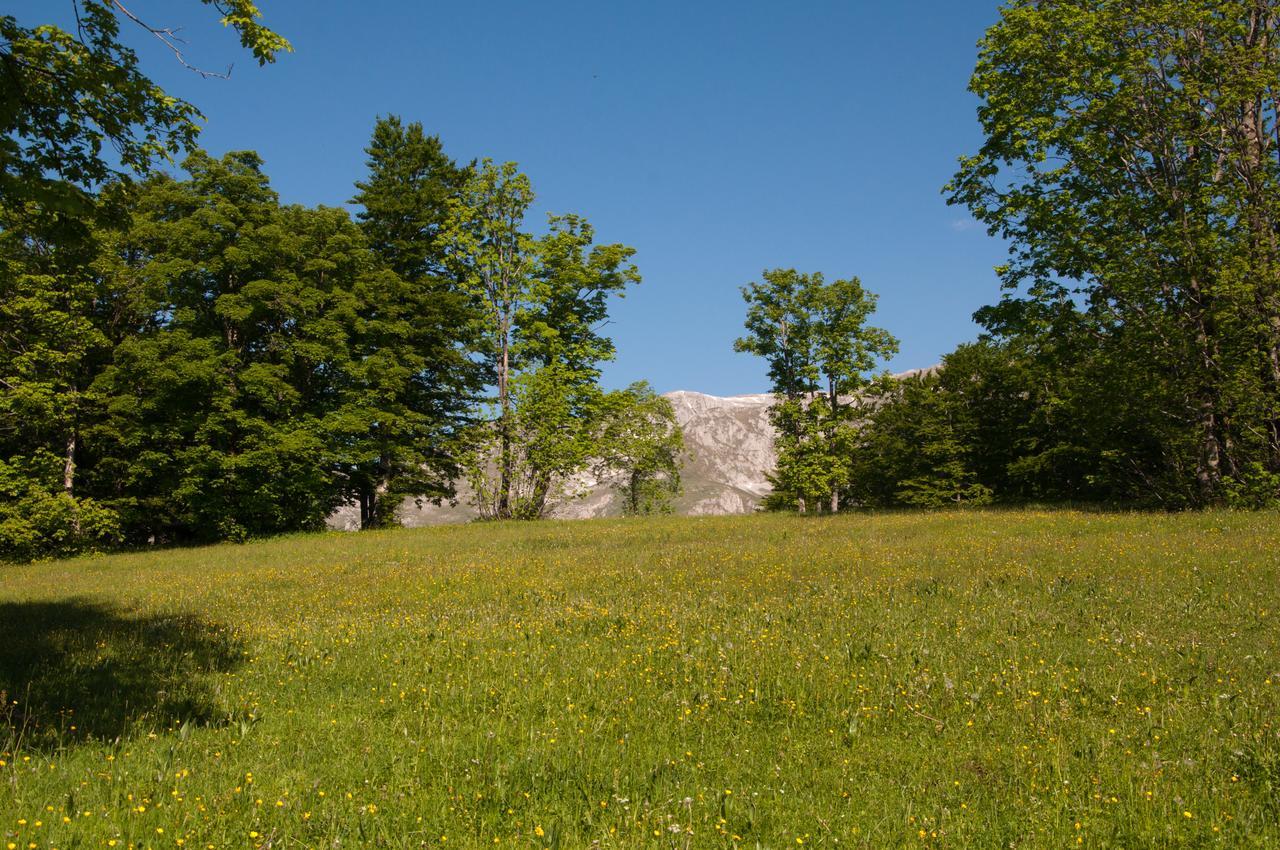 Green Forest Žabljak Екстериор снимка