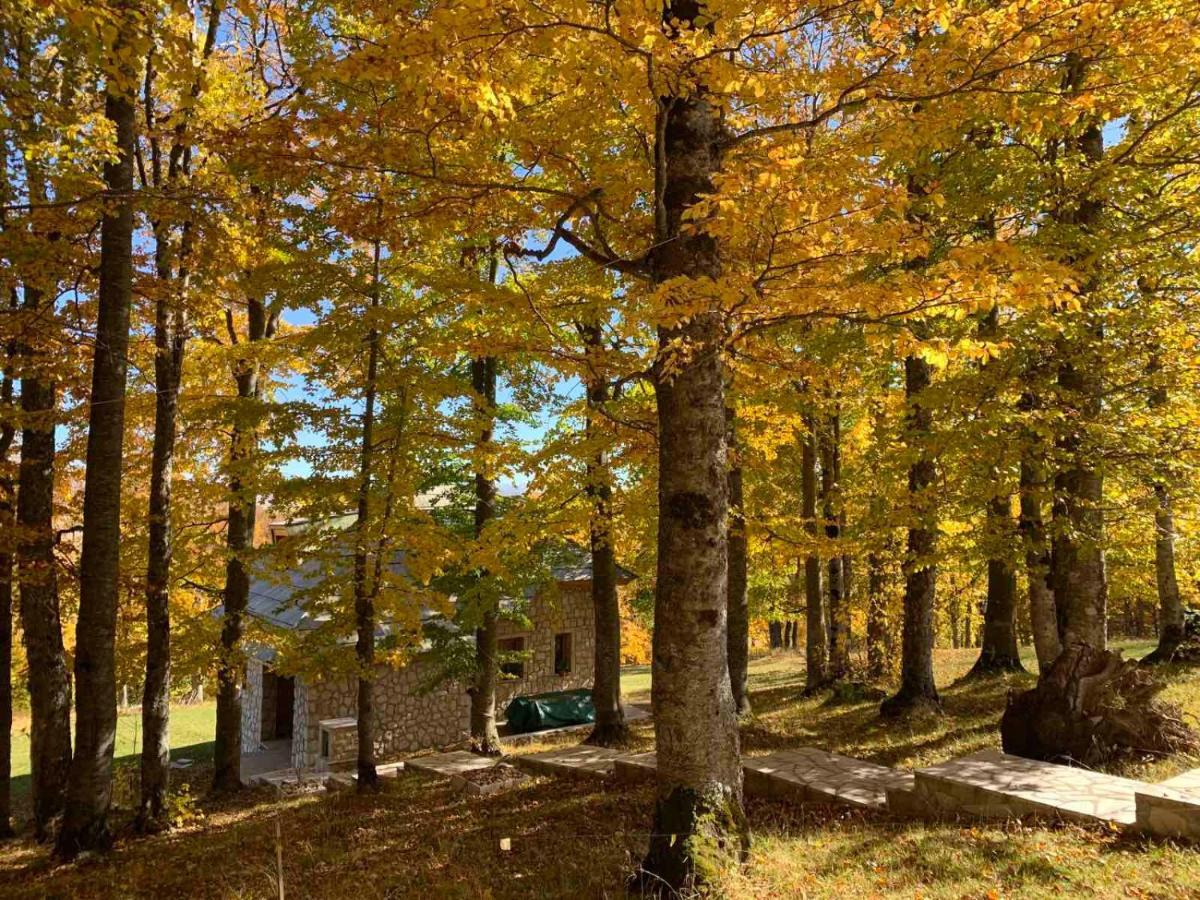 Green Forest Žabljak Екстериор снимка